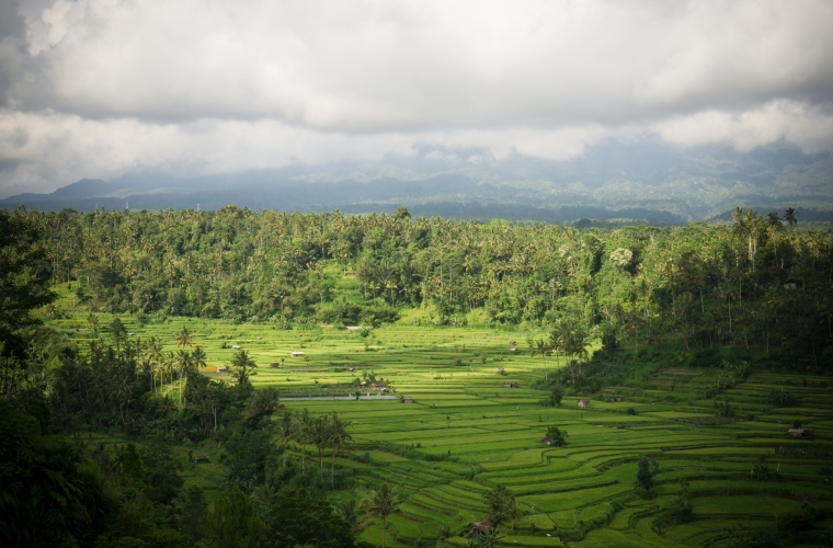 Foto imelise vaatega restoranist, kus armastasime lõunatada. Reis: Bali foto: Terje Toomistu 