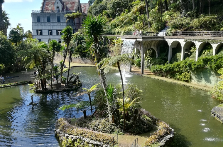 Madeira 10/2018 foto: Kersti Markna