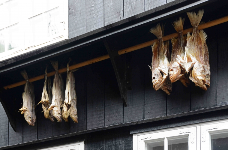 Fääri saared - eksootiline Põhjala