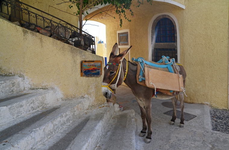 Kreeka - lummav Santorini kultuuri- ja puhkusereis