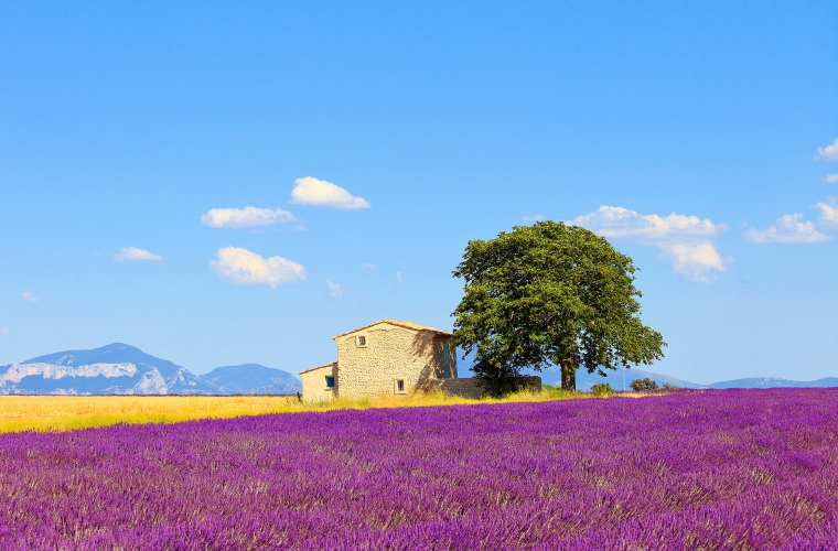 Prantsusmaa - Provence
