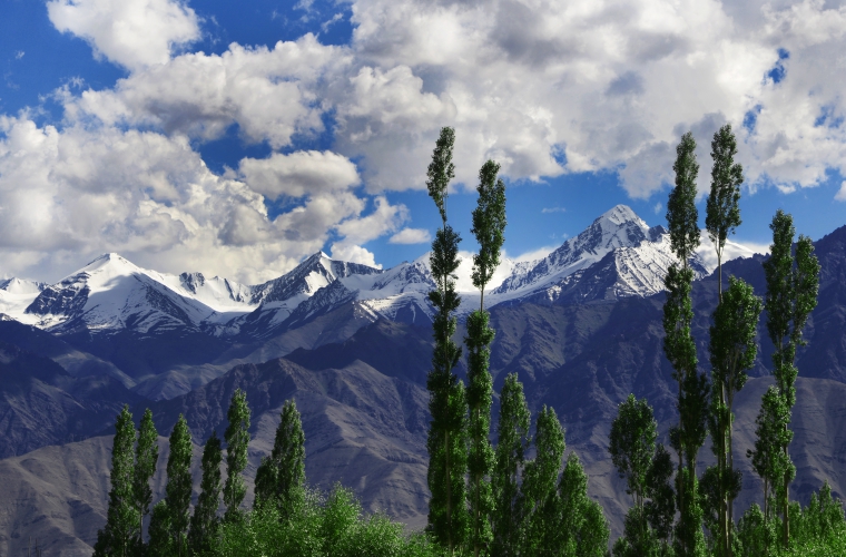 India - Ladakh - Väike Tiibet