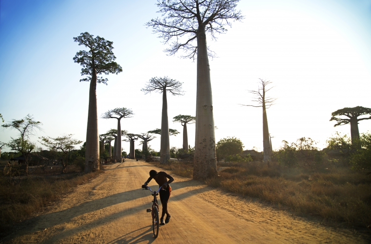 Madagaskar - ainulaadne loodusreis