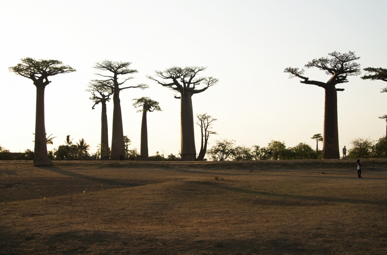 Madagaskar - ainulaadne loodusreis