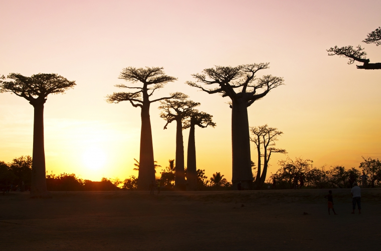 Madagaskar - ainulaadne loodusreis