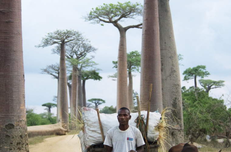 Madagaskar - ainulaadne loodusreis