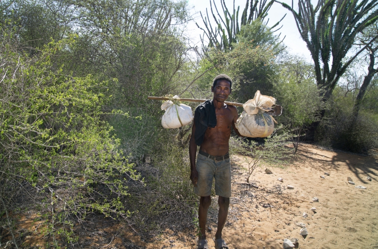 Madagaskar - ainulaadne loodusreis