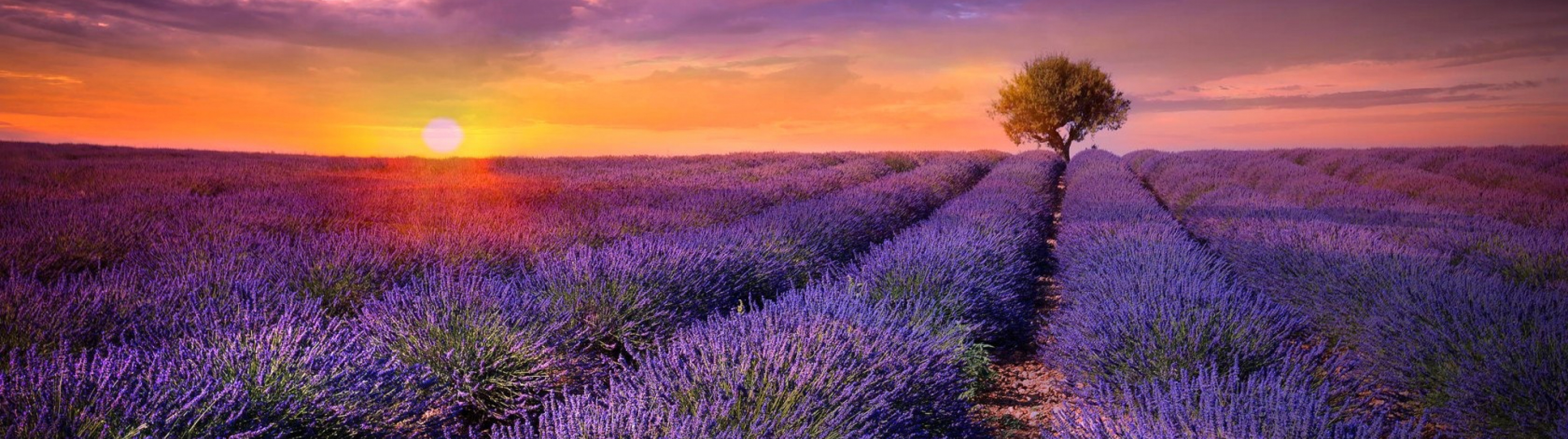 Prantsusmaa - Provence