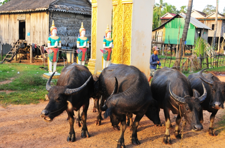 Kambodža - Laos - Vietnam