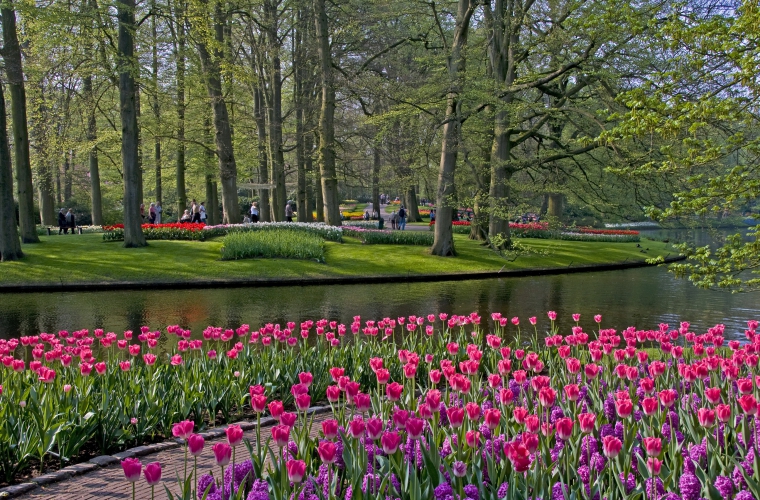 Holland - tulbid,  tuuleveskid ja lilleparaad