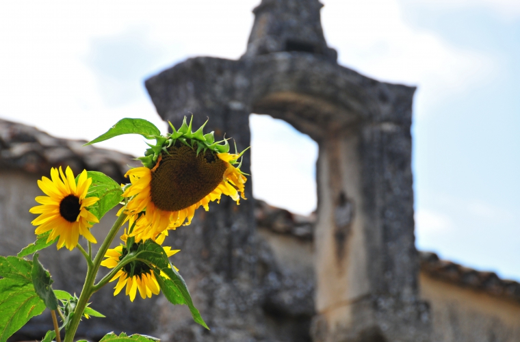 Prantsusmaa - Provence