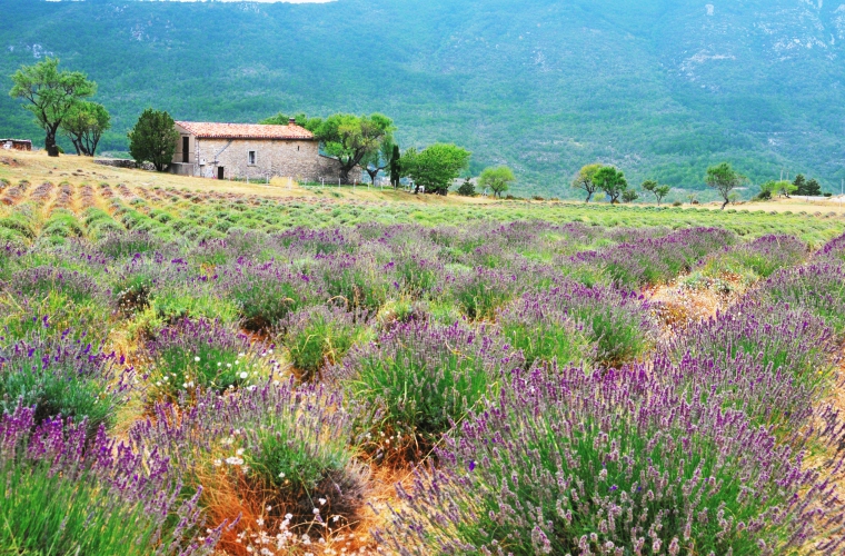 Prantsusmaa - Provence