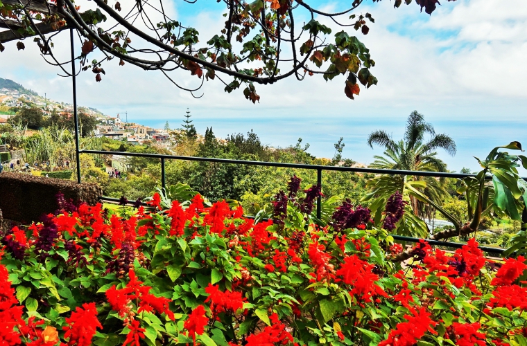 Portugal - Madeira puhkus