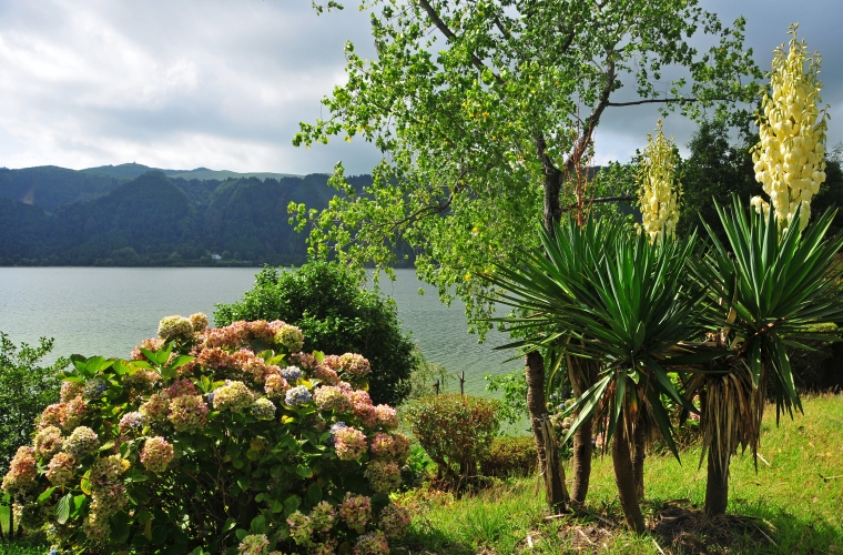 Portugal - Madeira ja Assoori saared – paradiisisaared Atlandi ookeanis