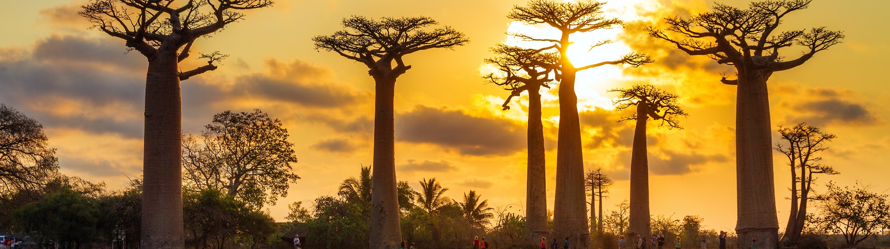 Madagaskar - ainulaadne loodusreis