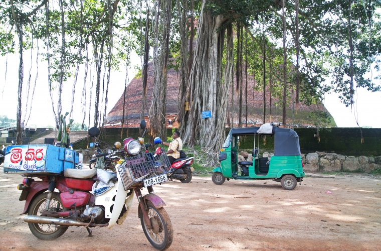 Sri Lanka ja Maldiivid - ringreis ja rannapuhkus