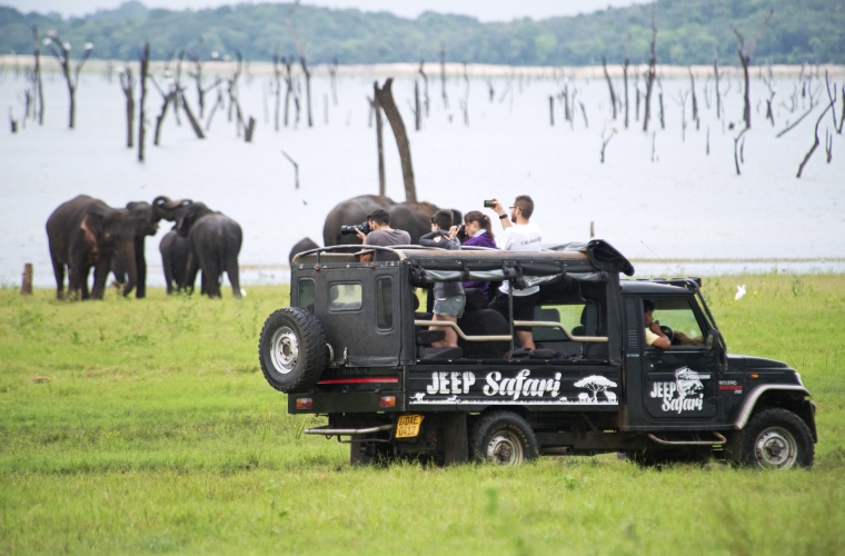 Sri Lanka ja Maldiivid - ringreis ja rannapuhkus