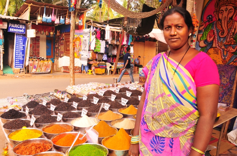 India - Kuldne Kolmnurk ja Goa puhkus