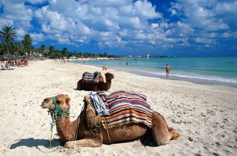 Tuneesia - Djerba puhkus
