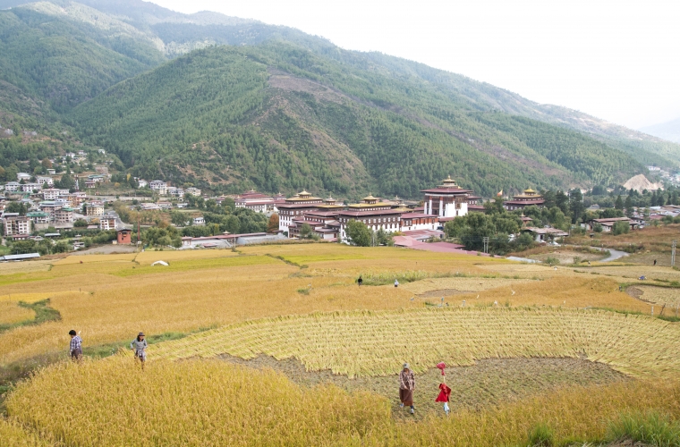 Nepal ja Bhutan - kultuuri- ja loodusreis maailma katusel koos festivalidega