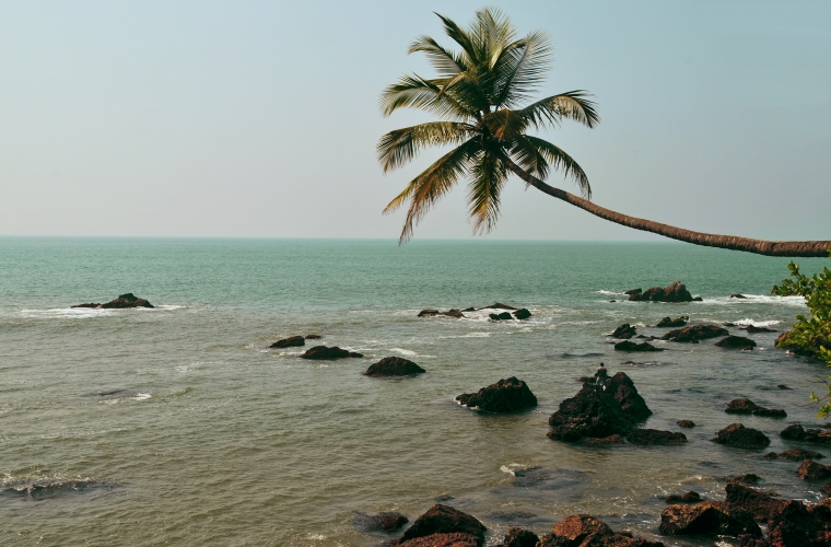 India - Kuldne Kolmnurk ja Goa puhkus