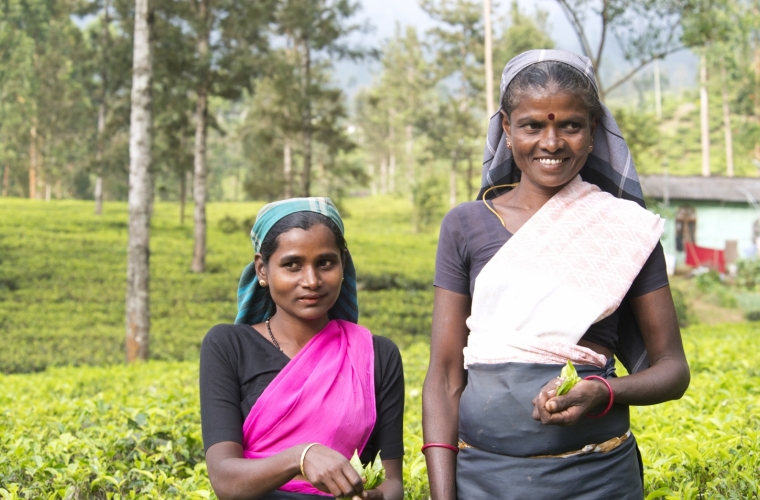 Sri Lanka ringreis ja rannapuhkus