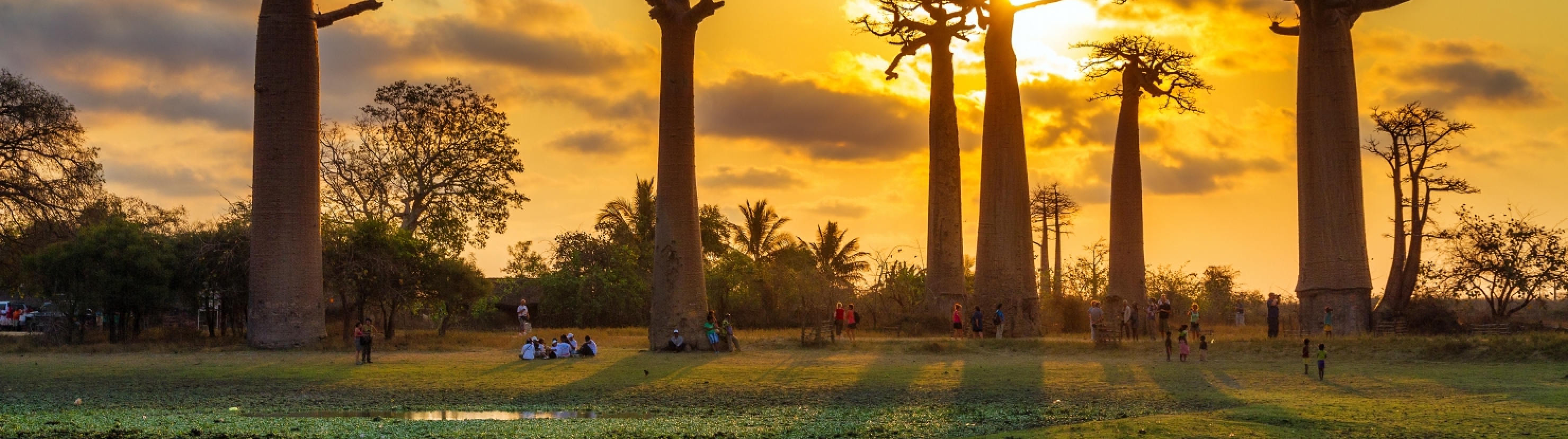 Madagaskar - ainulaadne loodusreis