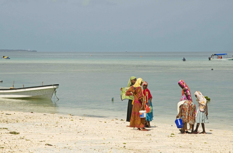 Tansaania safarid ja Sansibari rannapuhkus