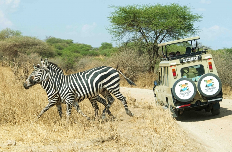 Tansaania safarid ja Sansibari rannapuhkus