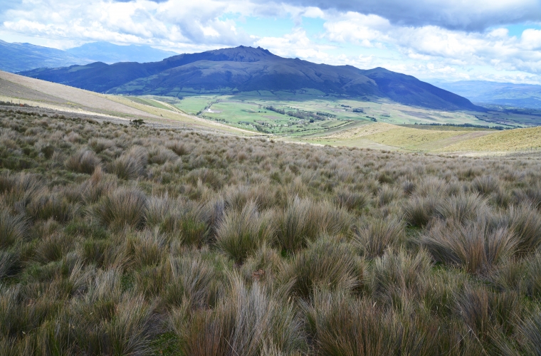 Ecuador ja Galapagose saared - kultuuri- ja loodusreis