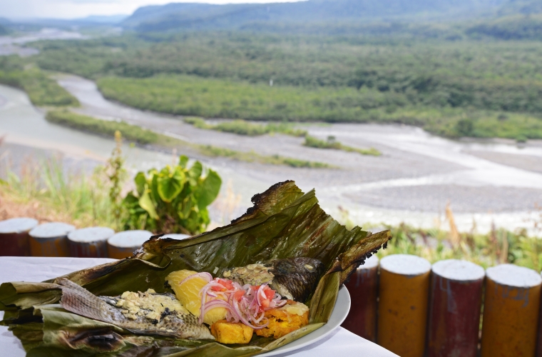 Ecuador ja Galapagose saared - kultuuri- ja loodusreis