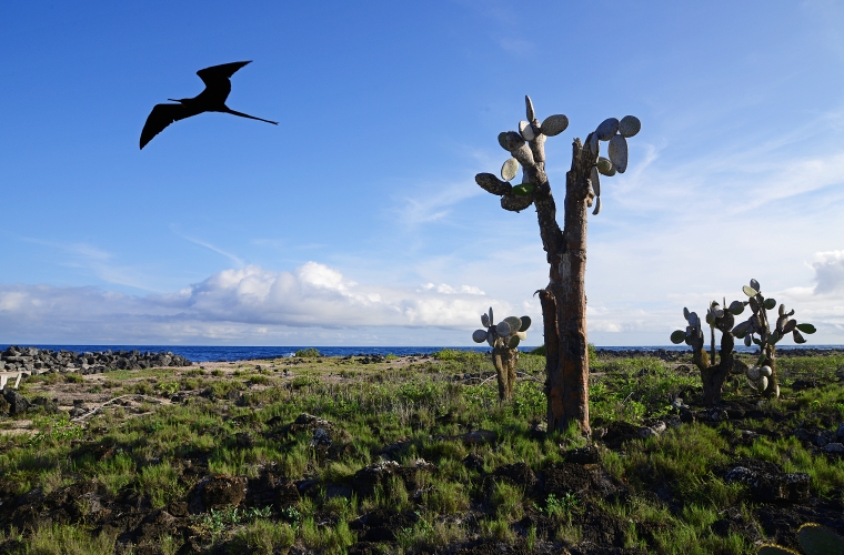 Ecuador ja Galapagose saared - kultuuri- ja loodusreis