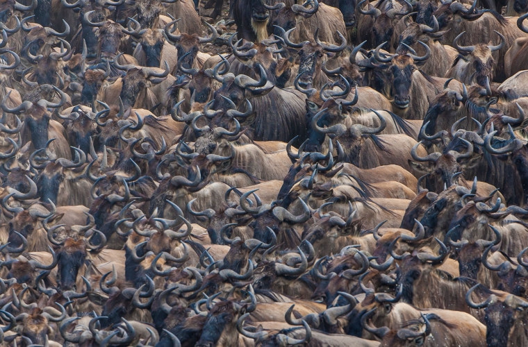 Keenia - safari ja puhkus