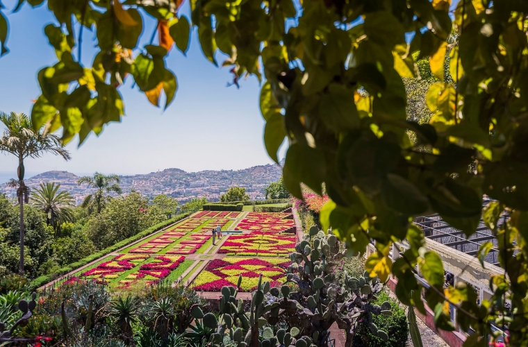 Portugal - Madeira - kultuuri- ja loodusreis kevadisse lilleõites paradiisi