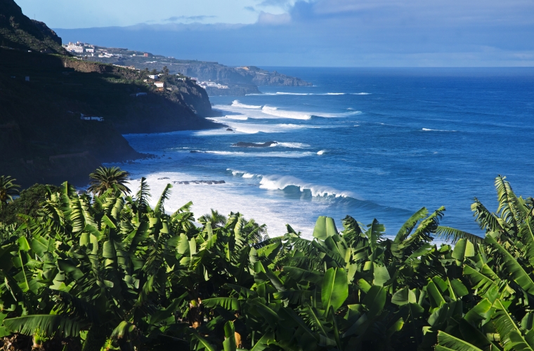 Hispaania - Tenerife kultuuri- ja puhkusereis