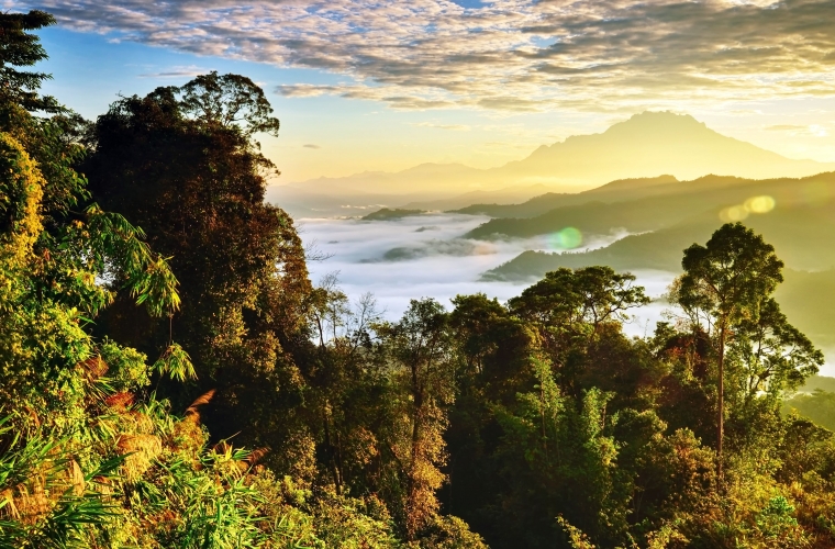 Malaisia - ringreis Borneo saarel ja Kuala Lumpur