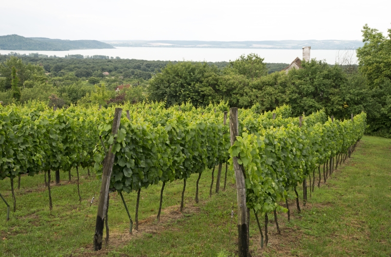 Ungari- suursugune Budapest, Eger ja Balaton