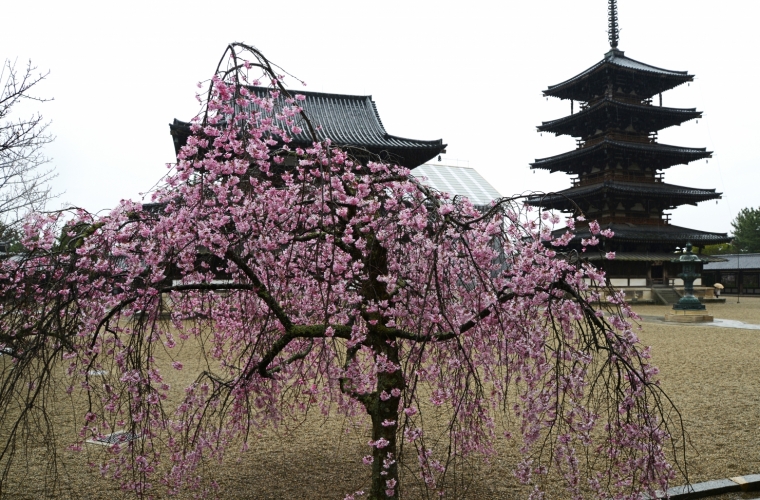 Jaapan -  kevadine ringreis, Koya mägi ja Takayama