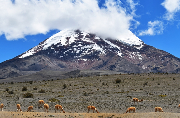 Ecuador - kultuuri- ja loodusreis